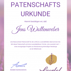Patenschaftsurkunde für Jens Wollenweber über eine Naturschützer-Patenschaft im Projekt LAVELAL. Die Urkunde bestätigt seine Unterstützung zur Renaturierung ehemaliger Weinberge an der Mittelmosel. Mit Lavendellogo und Unterschrift von Geschäftsführer Mario Kohlmann.